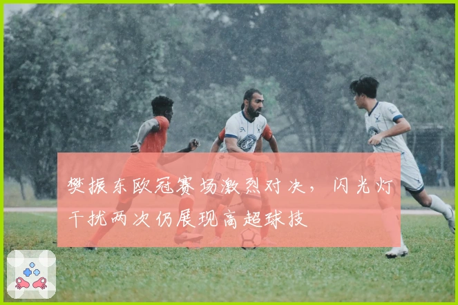 樊振东欧冠赛场激烈对决，闪光灯干扰两次仍展现高超球技