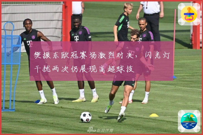 樊振东欧冠赛场激烈对决，闪光灯干扰两次仍展现高超球技